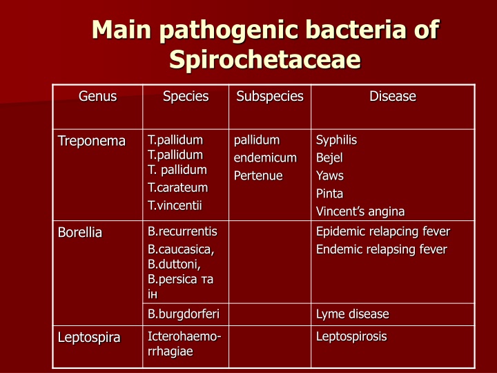Main pathogenic bacteria of Spirochetaceae