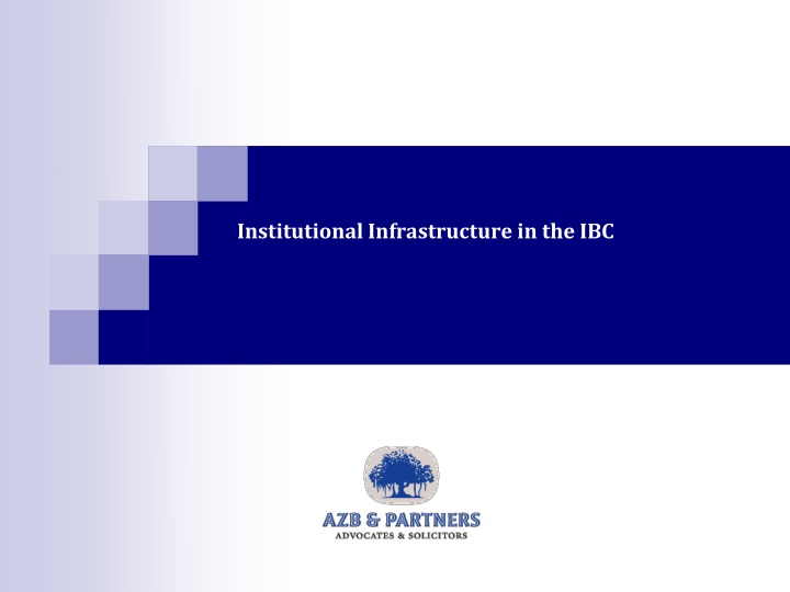 Overview of Institutional Infrastructure in IBC