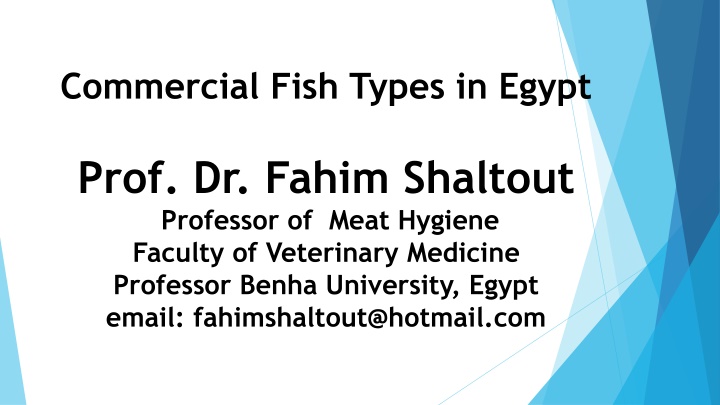 Commercial Fish Types in Egypt - Prof. Dr. Fahim Shaltout, Benha University