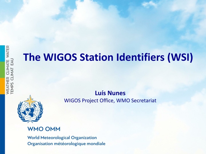 Overview of WIGOS Station Identifiers
