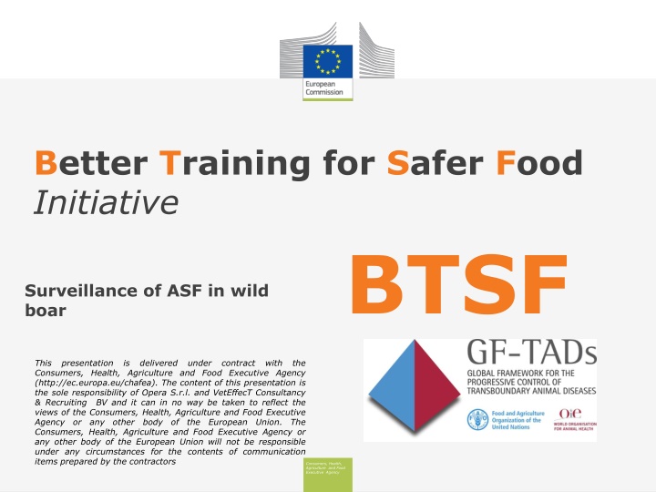 Better Training for Safer Food: Surveillance of ASF in Wild Boar