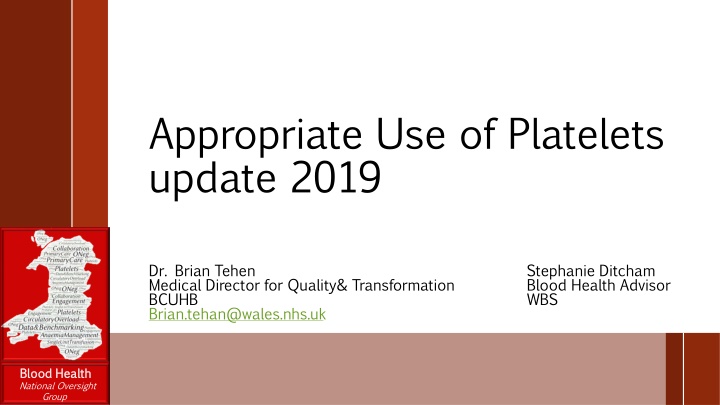 Platelet Update 2019: Achievements and Insights