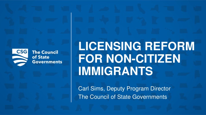 Licensing Reform for Non-Citizen Immigrants