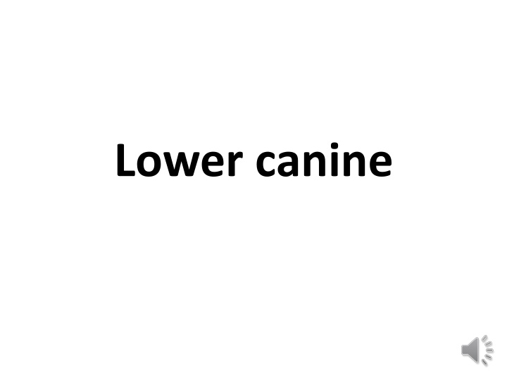 Exposing Mandibular Canine: Techniques and Results