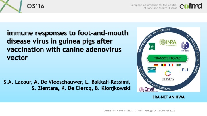 Immune Responses to Foot-and-Mouth Disease Virus in Guinea Pigs After Vaccination