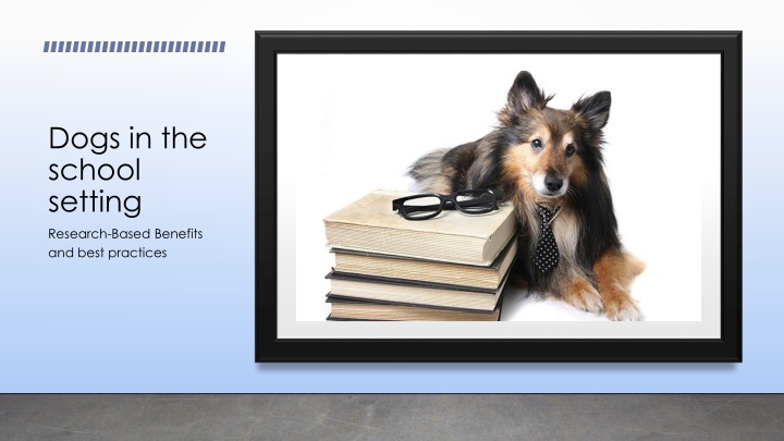 Benefits of Dogs in School Settings