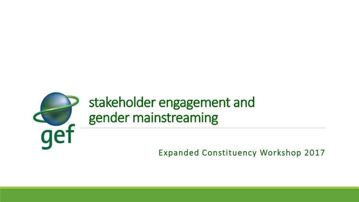 Stakeholder Engagement and Gender Mainstreaming at Expanded Constituency Workshop