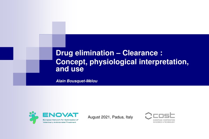 Drug Elimination Clearance: Concept and Interpretation