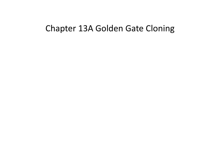 Efficient Golden Gate Cloning Techniques