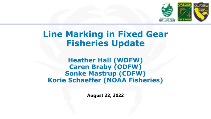 Line Marking in Fixed Gear Fisheries Update