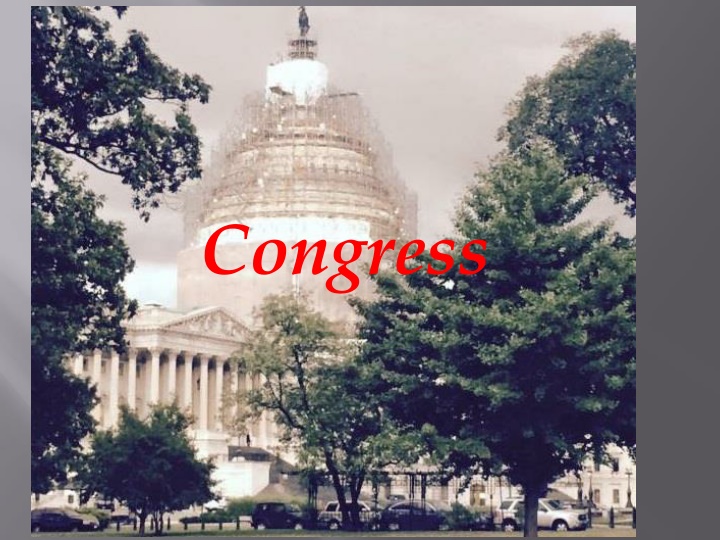 The U.S. Congress Structure