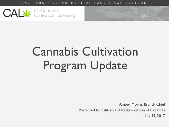 Cannabis Cultivation Program Update
