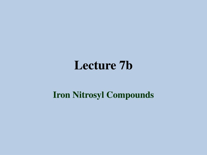 Iron Nitrosyl Compounds Exploration