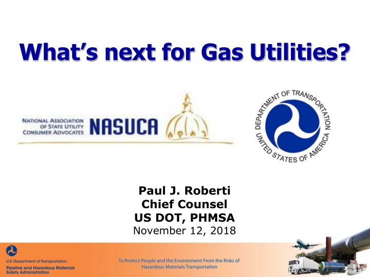Gas Utilities: Challenges and Solutions