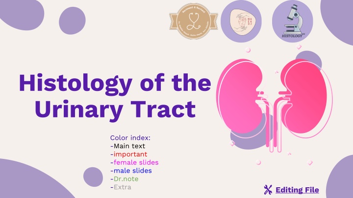 Histology of the Urinary Tract Color Index