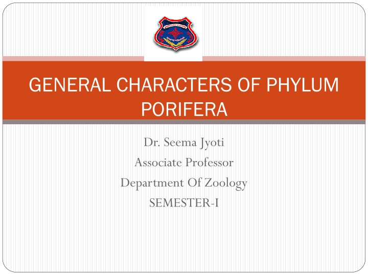 General Characters of Phylum Porifera Explained