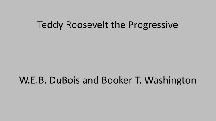Teddy Roosevelt: The Progressive Reformer