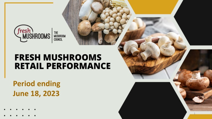 Four-Year Mushroom Sales Trends Overview