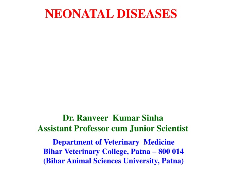 Calf Scours & Treatment
