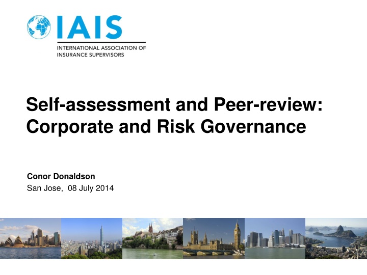 Self-Assessment and Peer Review in Corporate Governance