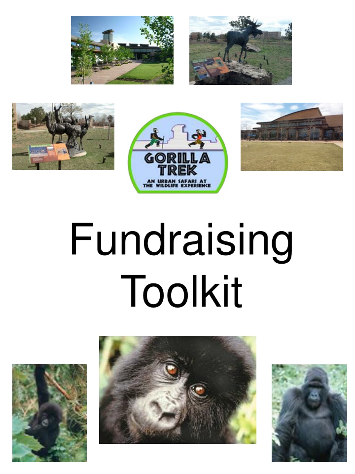 Fundraising Toolkit for Gorilla Conservation