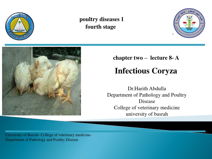 Infectious Coryza in Poultry: Causes and Symptoms