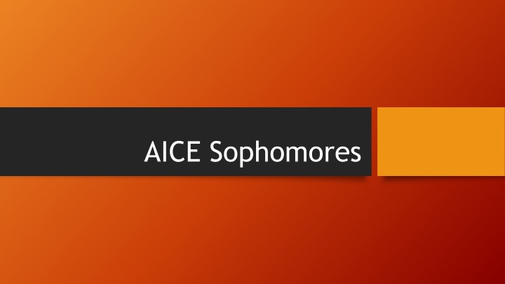 AICE Sophomores News & Exam Guidance