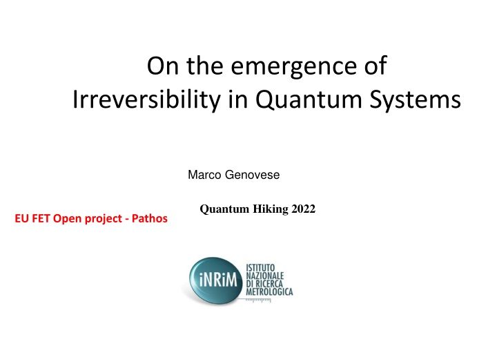 On the emergence of Irreversibility in Quantum Systems