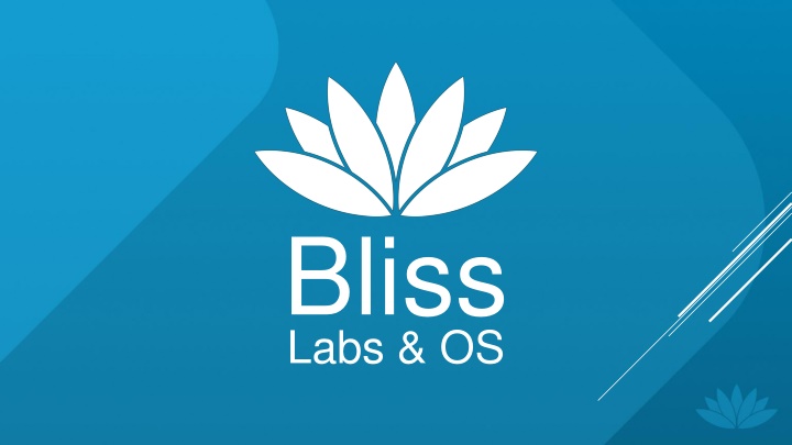 Empowering Open Source Development at Bliss Labs & OS