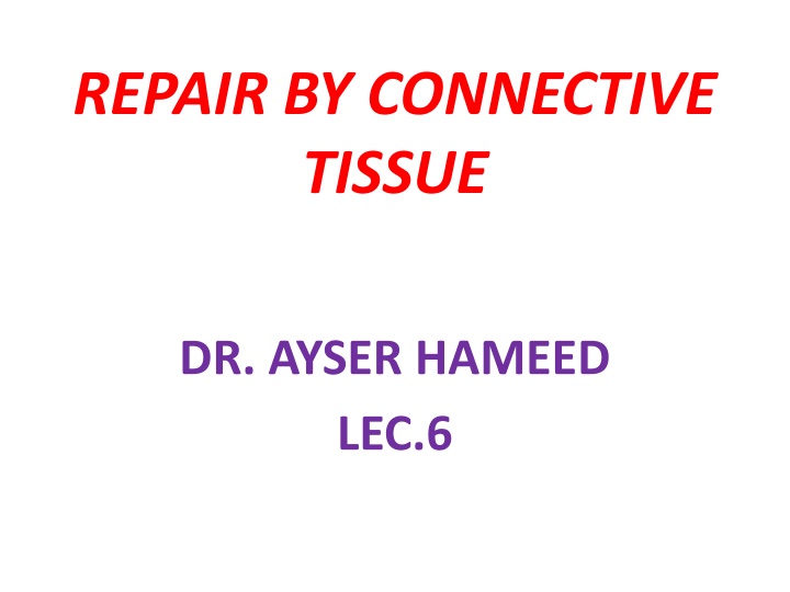 REPAIR BY CONNECTIVE TISSUE