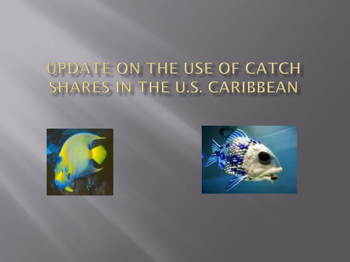 Catch Share in Fishery Management