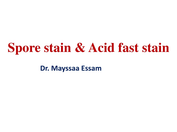 Spore Stain & Acid-Fast Stain: Bacterial Cell Structure