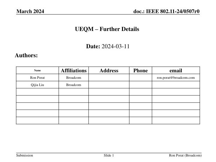 UEQM Implementation Strategies in IEEE 802.11-24