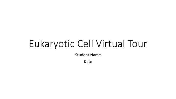 Eukaryotic Cell Organelles and Functions
