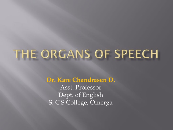 Organs of Speech and Their Functions