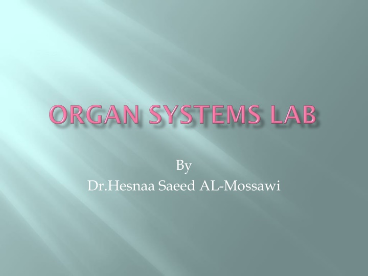Overview of Human Anatomy and Physiology