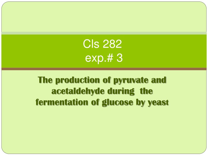 Metabolic Pathways in Glucose Breakdown