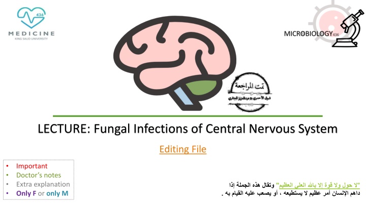 Fungal Infections of Central Nervous System: Clinical Features and Etiology