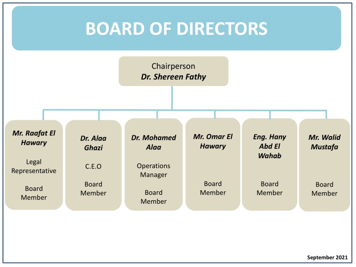 Organizational Structure and Management Team Overview