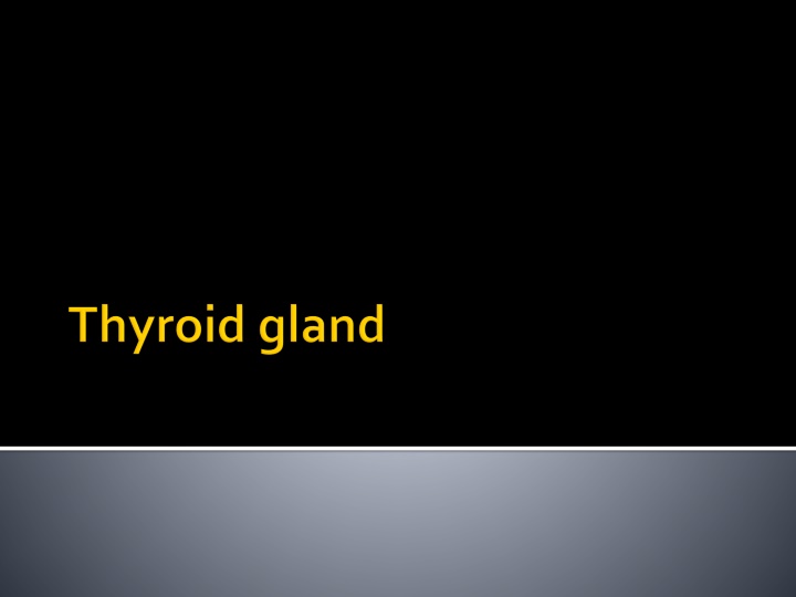 Thyroid Gland: Anatomy and Function