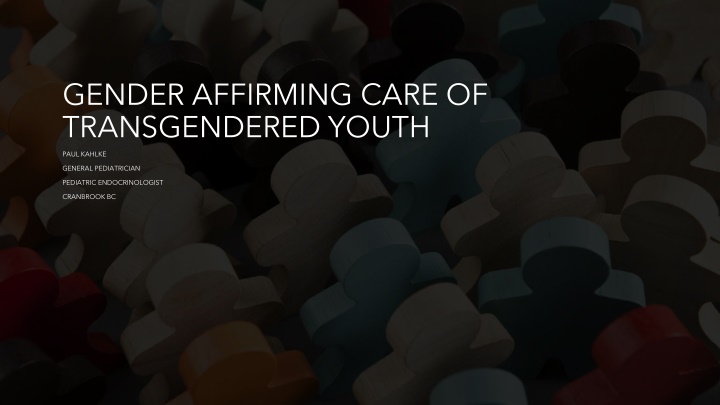 Gender-Affirming Care for Transgender Youth - Interventions and Support