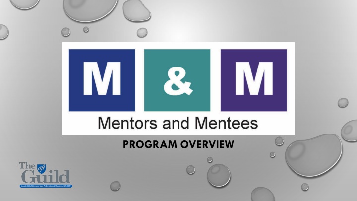 M&M Program Overview & Goals
