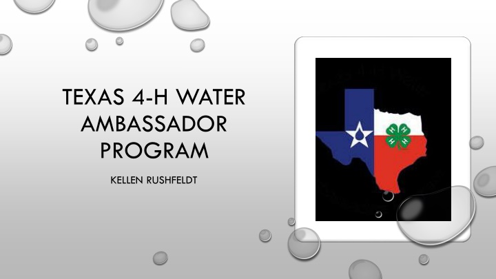 The Role of an Ambassador