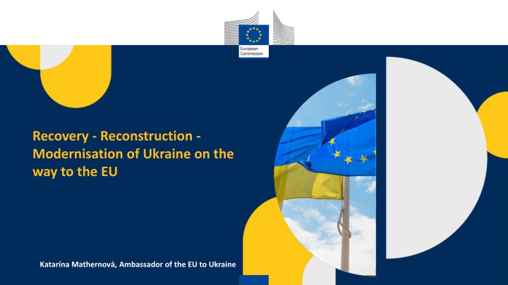 Ukraine's Path to EU: Recovery, Reconstruction, Modernisation