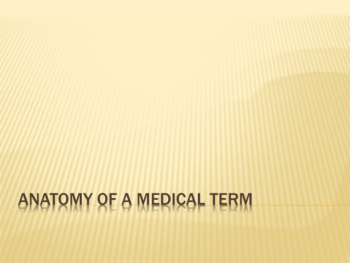 Anatomy of Medical Terminology Simplified