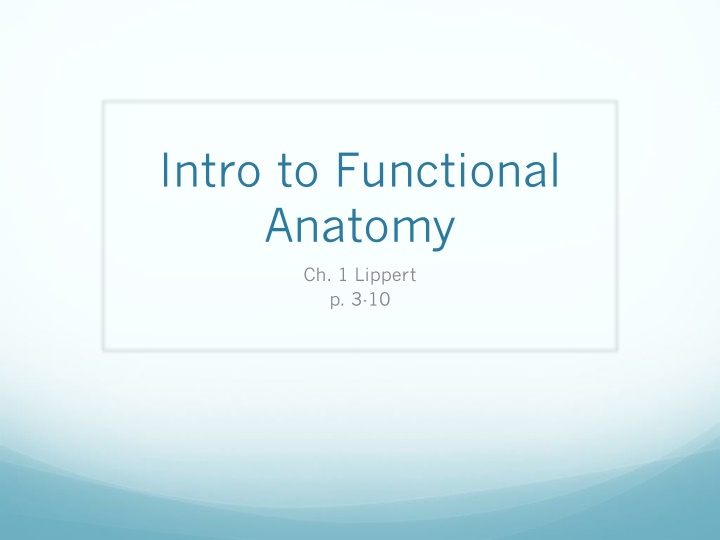 Functional Anatomy Fundamentals