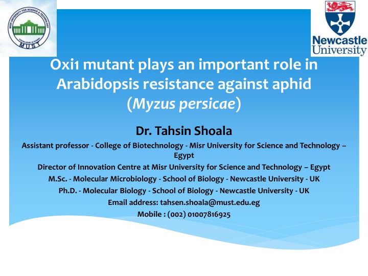 Oxi1 Mutant Plays Vital Role in Arabidopsis Aphid Resistance