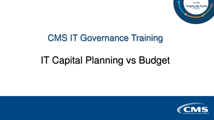 IT Governance & Capital Planning: Key Insights