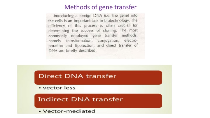 Overview of Gene Transfer Methods in Molecular Biology