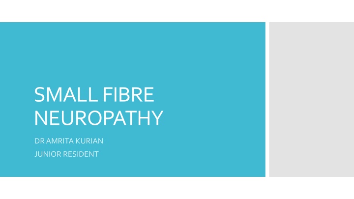 SMALL FIBRE